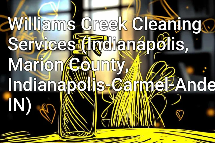 Williams Creek Cleaning Services (Indianapolis, Marion County, Indianapolis-Carmel-Anderson, IN)