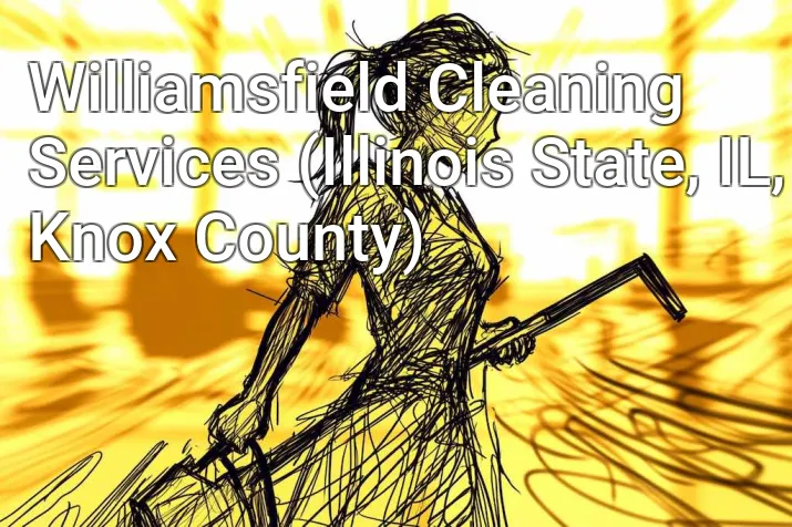 Williamsfield Cleaning Services (Illinois State, IL, Knox County)