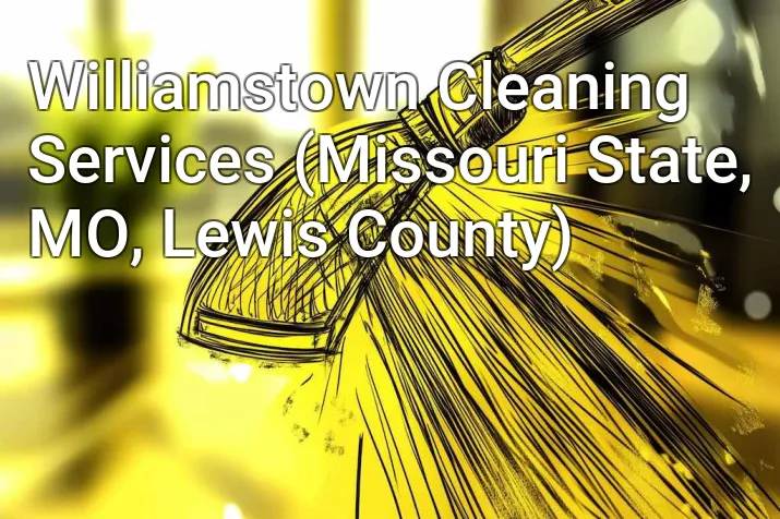 Williamstown Cleaning Services (Missouri State, MO, Lewis County)
