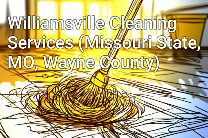 Williamsville Cleaning Services (Missouri State, MO, Wayne County)