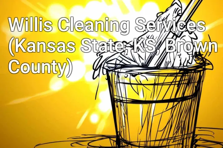 Willis Cleaning Services (Kansas State, KS, Brown County)