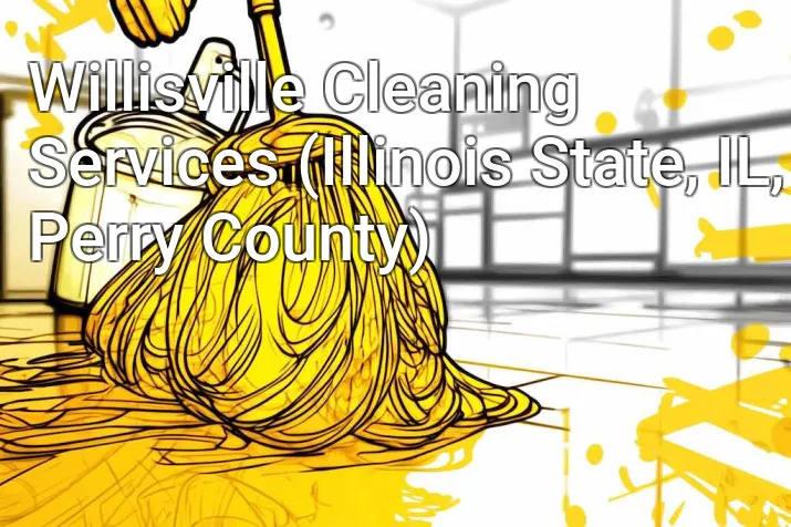 Willisville Cleaning Services (Illinois State, IL, Perry County)