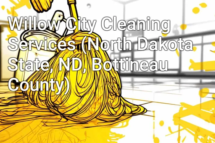 Willow City Cleaning Services (North Dakota State, ND, Bottineau County)