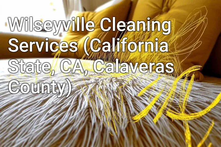 Wilseyville Cleaning Services (California State, CA, Calaveras County)