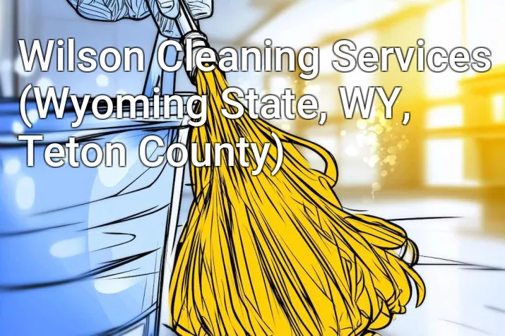 Wilson Cleaning Services (Wyoming State, WY, Teton County)