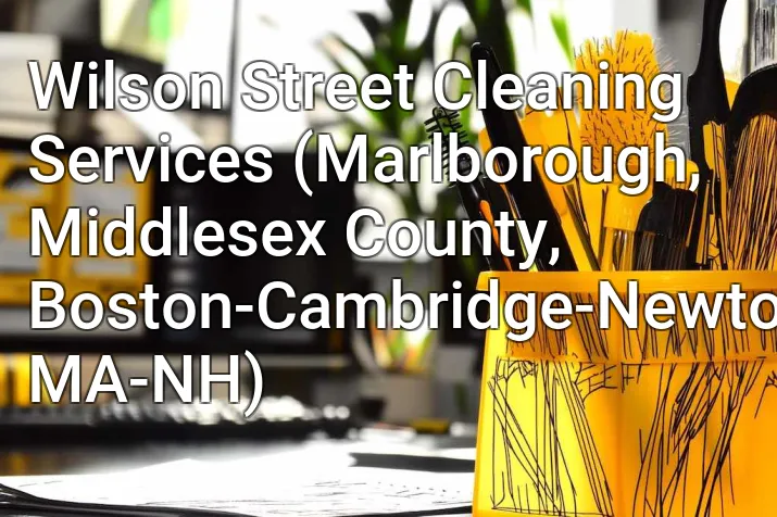 Wilson Street Cleaning Services (Marlborough, Middlesex County, Boston-Cambridge-Newton, MA-NH)