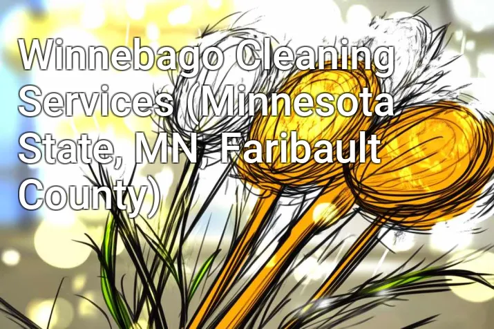 Winnebago Cleaning Services (Minnesota State, MN, Faribault County)
