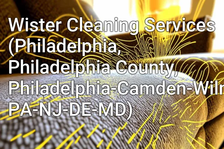 Wister Cleaning Services (Philadelphia, Philadelphia County, Philadelphia-Camden-Wilmington, PA-NJ-DE-MD)