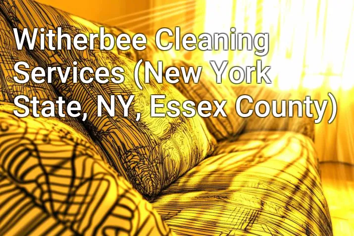 Witherbee Cleaning Services (New York State, NY, Essex County)
