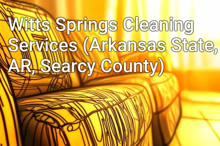 Witts Springs Cleaning Services (Arkansas State, AR, Searcy County)