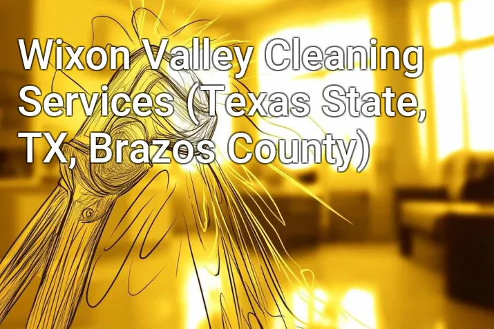 Wixon Valley Cleaning Services (Texas State, TX, Brazos County)
