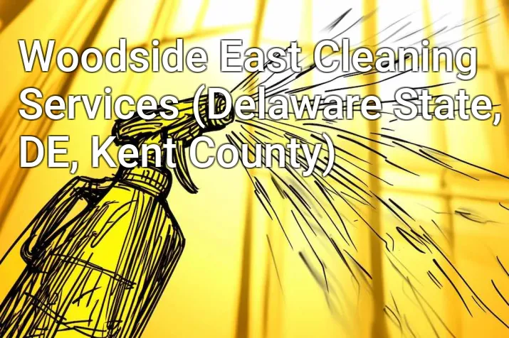 Woodside East Cleaning Services (Delaware State, DE, Kent County)