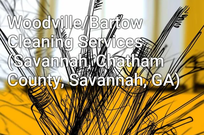 Woodville/Bartow Cleaning Services (Savannah, Chatham County, Savannah, GA)