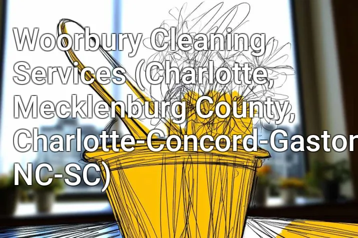 Woorbury Cleaning Services (Charlotte, Mecklenburg County, Charlotte-Concord-Gastonia, NC-SC)