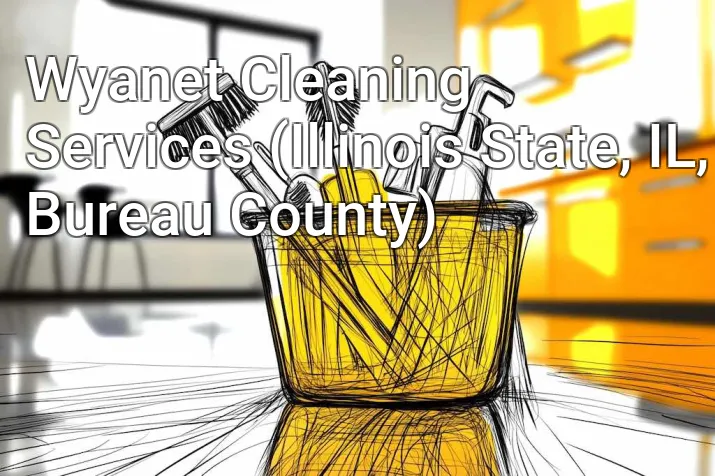 Wyanet Cleaning Services (Illinois State, IL, Bureau County)