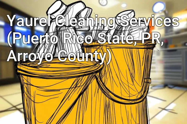 Yaurel Cleaning Services (Puerto Rico State, PR, Arroyo County)