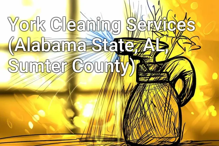 York Cleaning Services (Alabama State, AL, Sumter County)