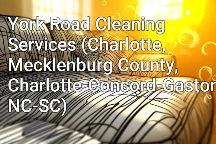 York Road Cleaning Services (Charlotte, Mecklenburg County, Charlotte-Concord-Gastonia, NC-SC)