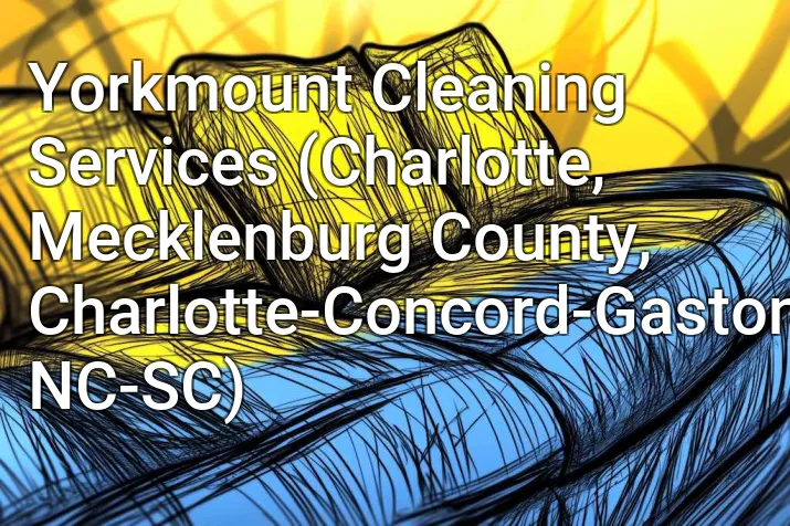 Yorkmount Cleaning Services (Charlotte, Mecklenburg County, Charlotte-Concord-Gastonia, NC-SC)