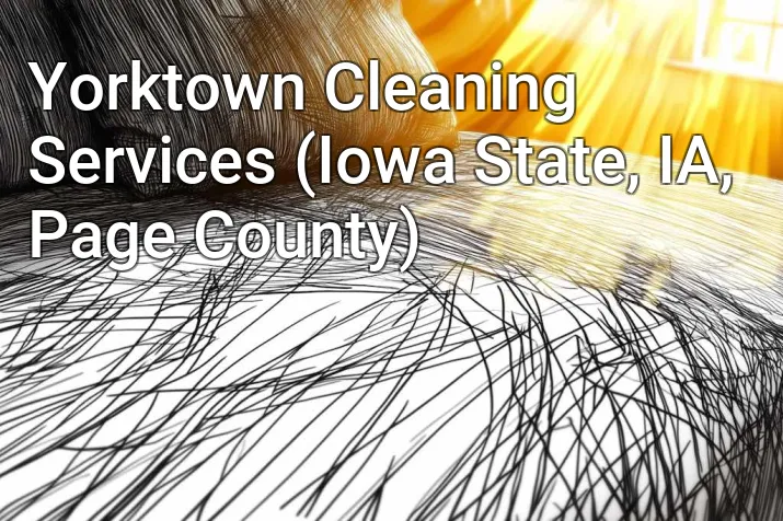 Yorktown Cleaning Services (Iowa State, IA, Page County)