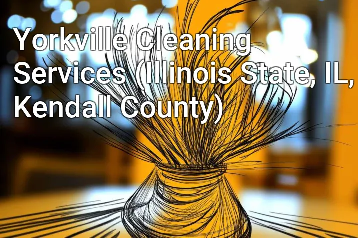 Yorkville Cleaning Services (Illinois State, IL, Kendall County)