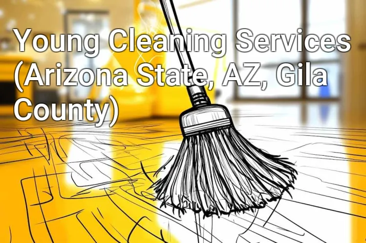 Young Cleaning Services (Arizona State, AZ, Gila County)