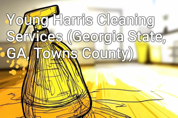 Young Harris Cleaning Services (Georgia State, GA, Towns County)