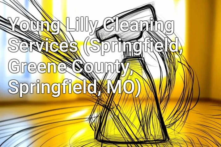 Young Lilly Cleaning Services (Springfield, Greene County, Springfield, MO)